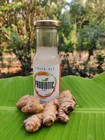 Health Benefits of Probiotic Drinks - 3 Drinks to Keep Your Gut Healthy