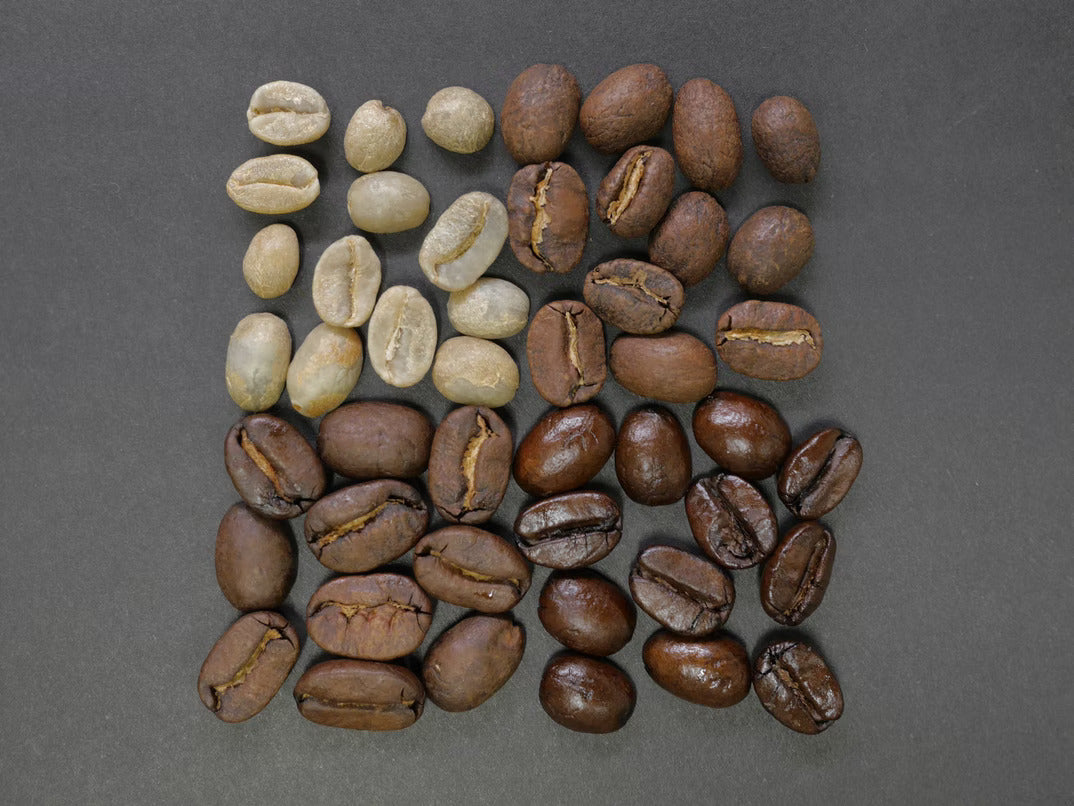 Cacao vs Cocoa: What's the Diffference? - Mangaal Harvest