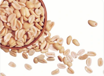 Roasted Penut without Skin