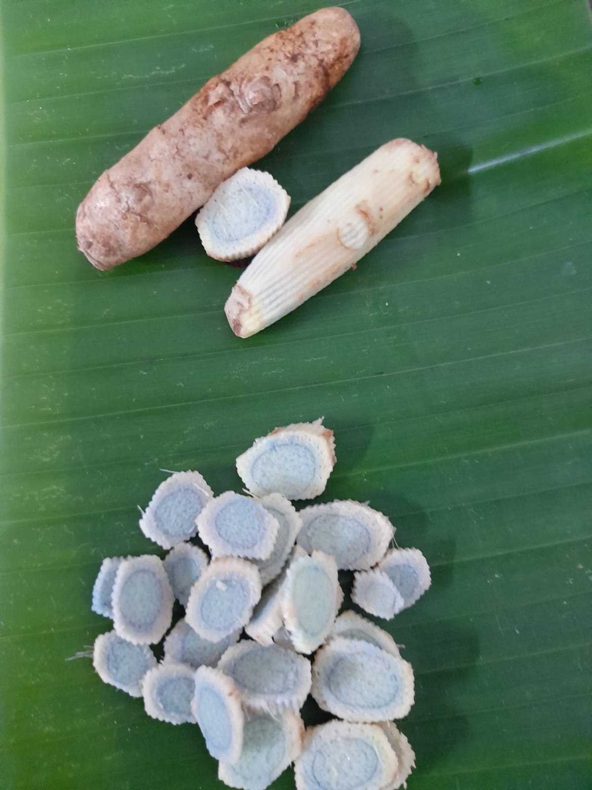 Black Turmeric Kali Haldi