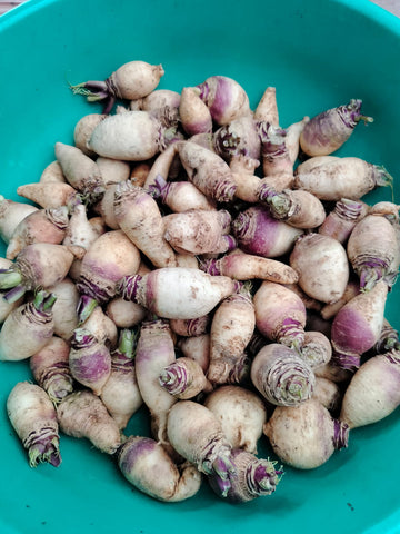 Turnips