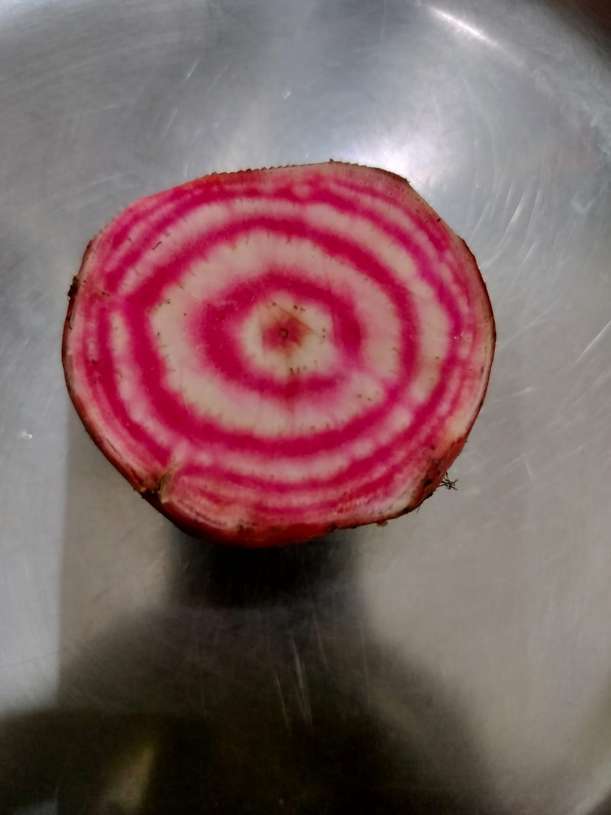 Candystrip Beet