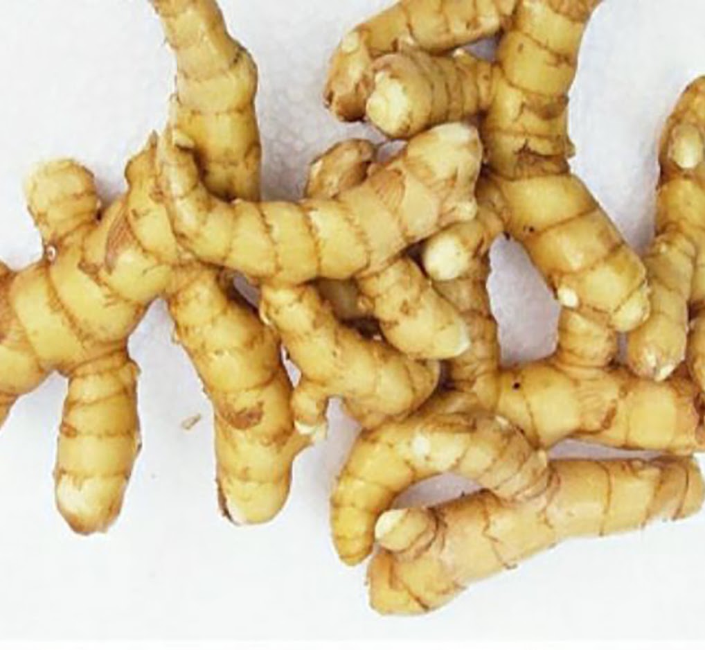 Mango Turmeric Root