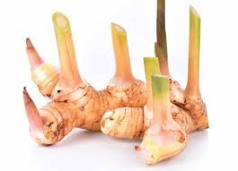 Galangal Root