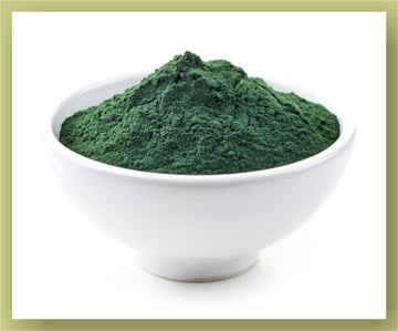 Spirulina Powder